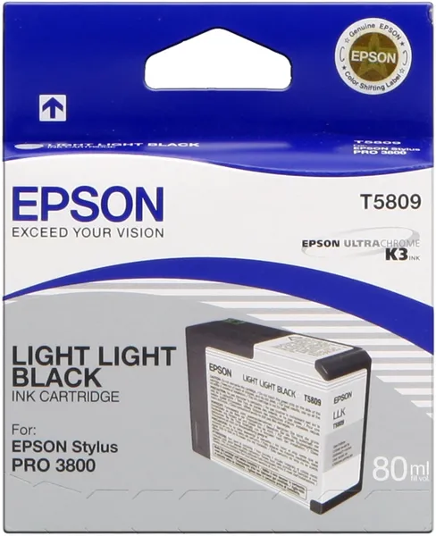 Epson T5809 Schwarz (Original)